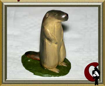 Alpine marmot - Marmota marmota